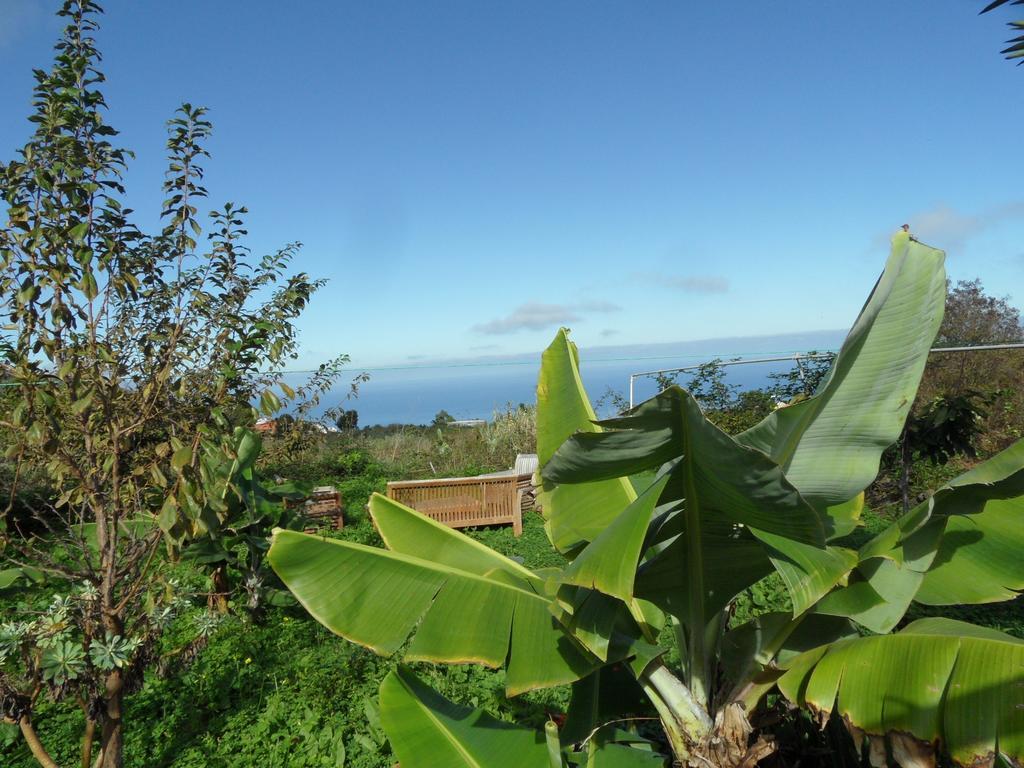 Finca Cueva Del Viento Icod De Los Vinos Chambre photo