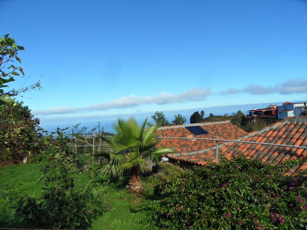 Finca Cueva Del Viento Icod De Los Vinos Chambre photo